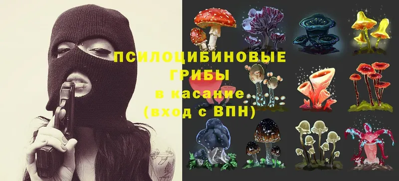 Псилоцибиновые грибы MAGIC MUSHROOMS  Арсеньев 